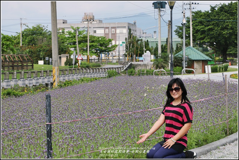 台開心農場-2017-04-25.jpg