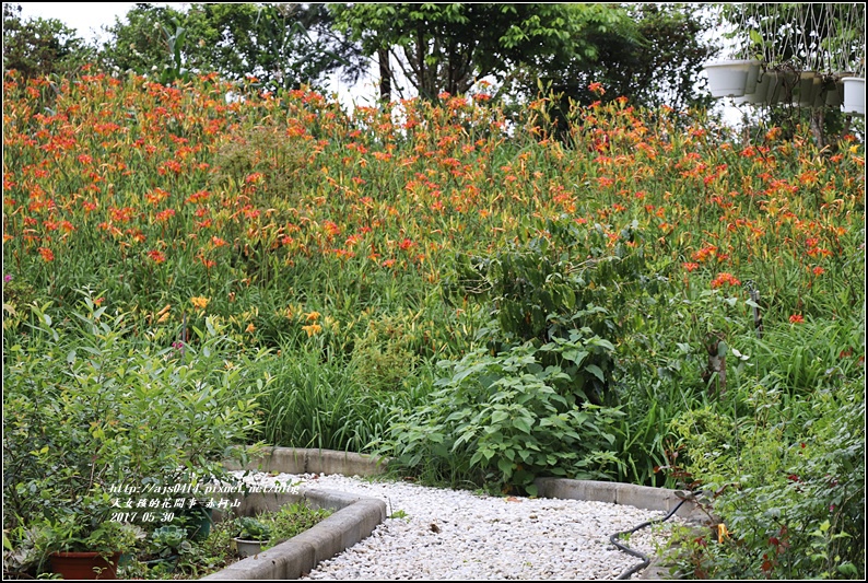 赤柯山5月遊-2017-05-02.jpg