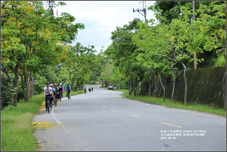 花蓮193阿勃勒(樂德公路約109K)-2017-06-01.jpg