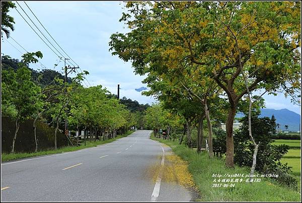 花蓮193阿勃勒(樂德公路約109K)-2017-06-05.jpg