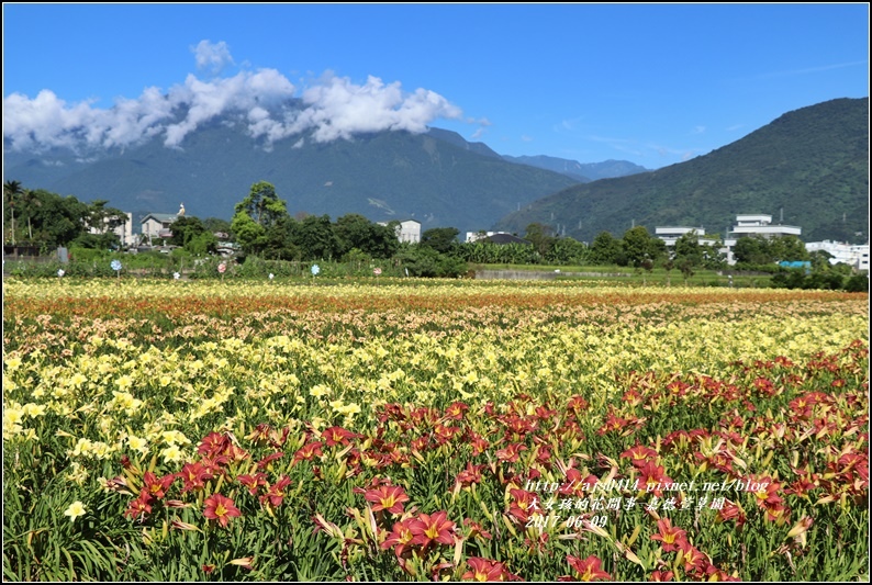 嘉德萱草園-2017-06-01.jpg 嘉德萱草園-2017-06-01.jpg