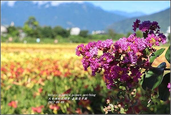 嘉德萱草園-2017-06-02.jpg