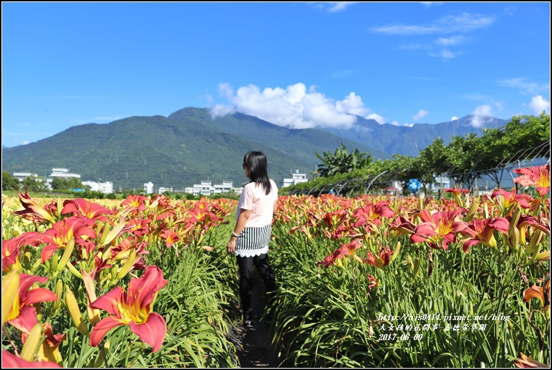 嘉德萱草園-2017-06-12.jpg