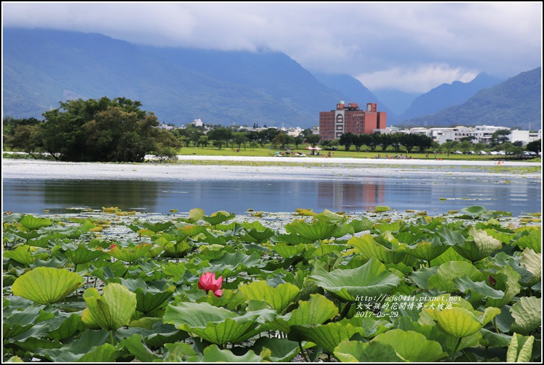 大坡池-2017-05-10.jpg 大坡池-2017-05-10.jpg