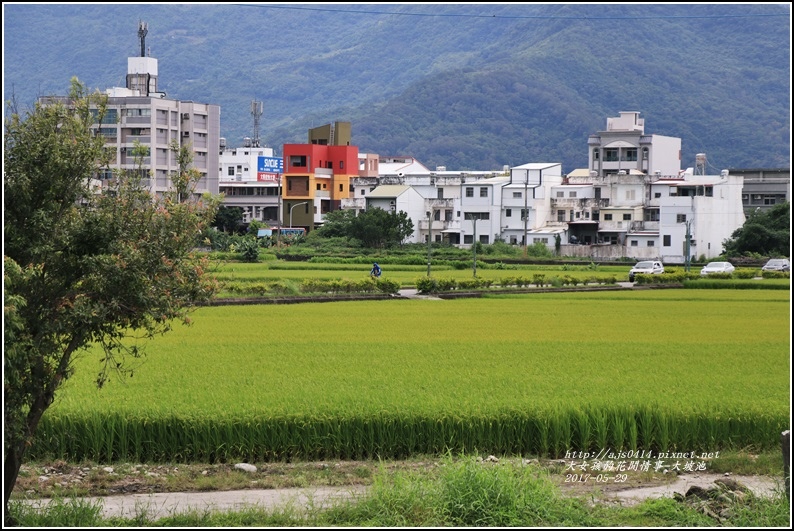 大坡池-2017-05-30.jpg