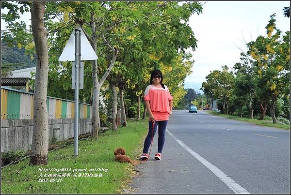 花蓮193阿勃勒-2017-06-19.jpg