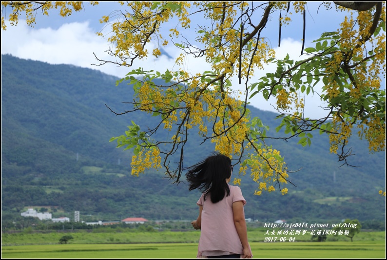 花蓮193阿勃勒-2017-06-23.jpg