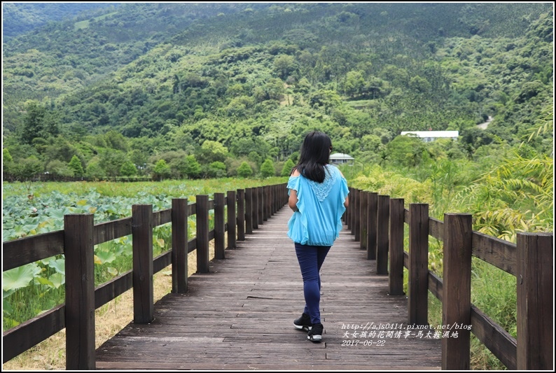 馬太鞍濕地-2017-06-01.jpg