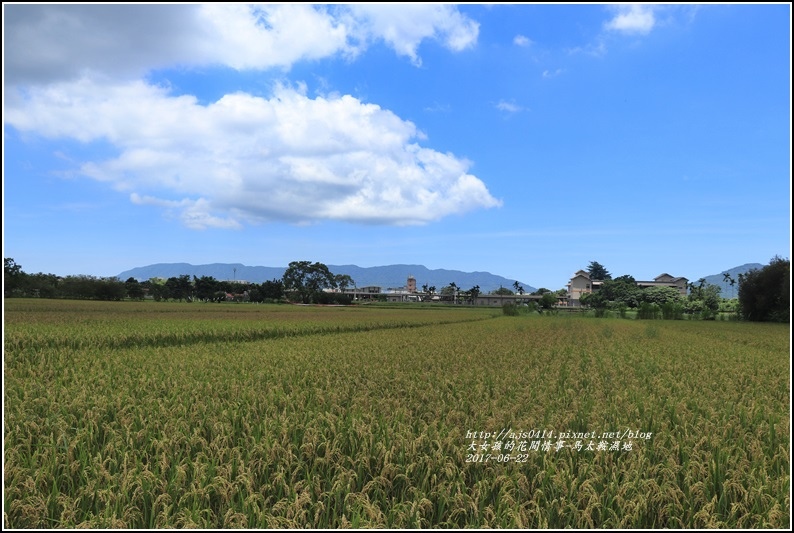 馬太鞍濕地-2017-06-19.jpg