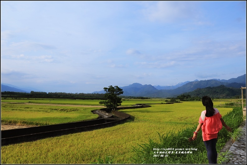 東里鐵馬驛站-2017-07-09.jpg