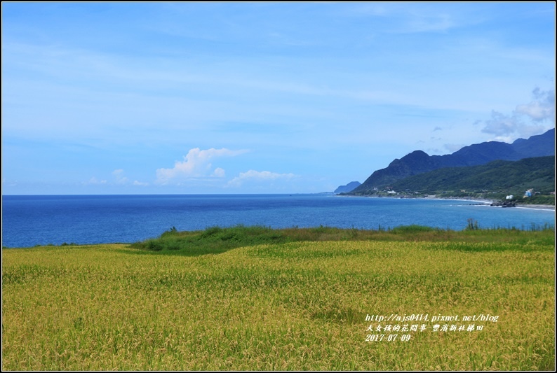 豐濱新社梯田-2017-07-20.jpg