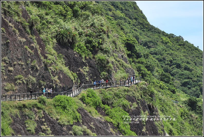 親不知子天空步道-2017-07-33.jpg