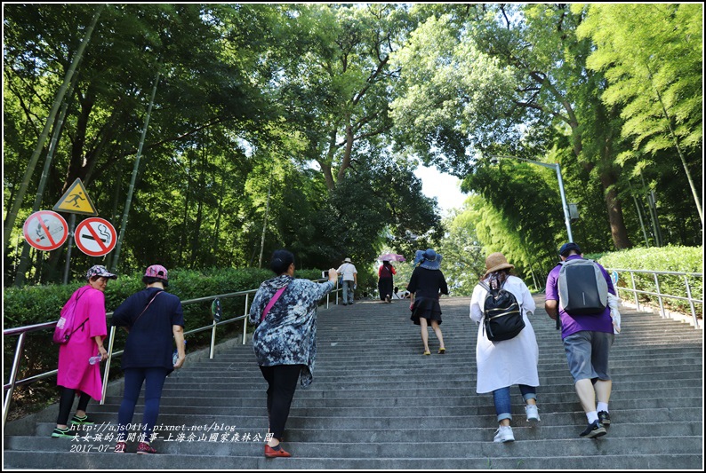 上海佘山國家森林公園-2017-07-07.jpg