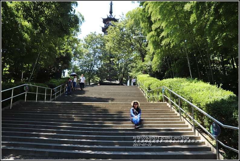 上海佘山國家森林公園-2017-07-21.jpg