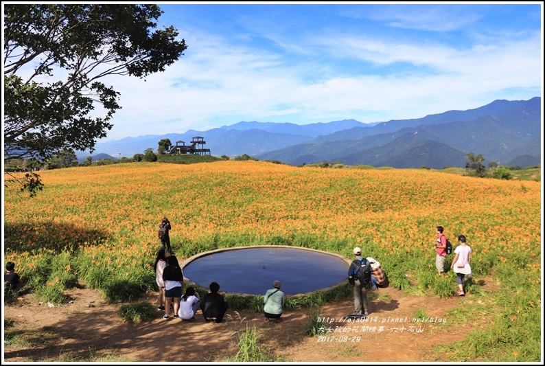 六十石山金針花-2017-08-41.jpg