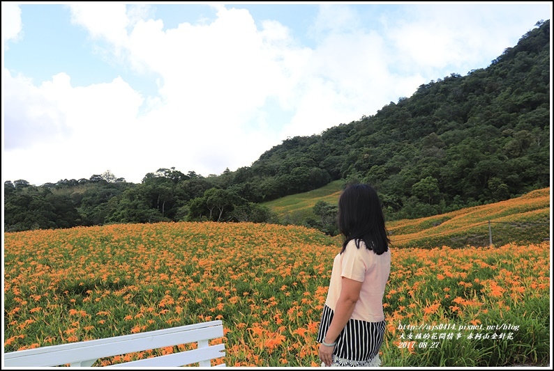 赤柯山金針花季-2017-08-87.jpg