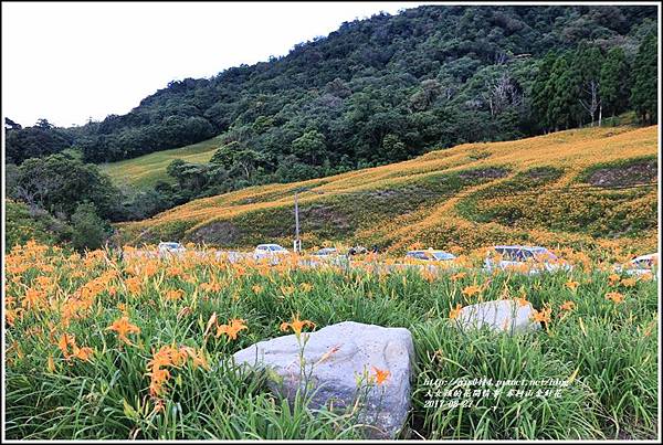 赤柯山金針花季-2017-08-91.jpg