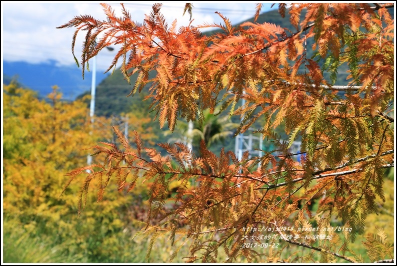 松湖驛站-2017-09-06.jpg