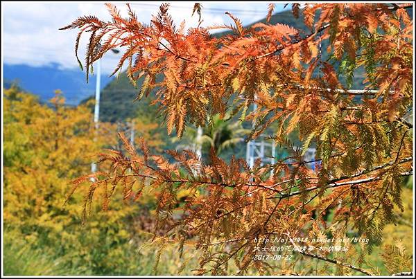 松湖驛站-2017-09-06.jpg