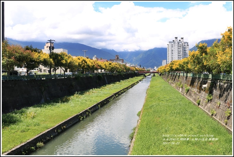 七腳川溪台灣欒樹-2017-09-13.jpg