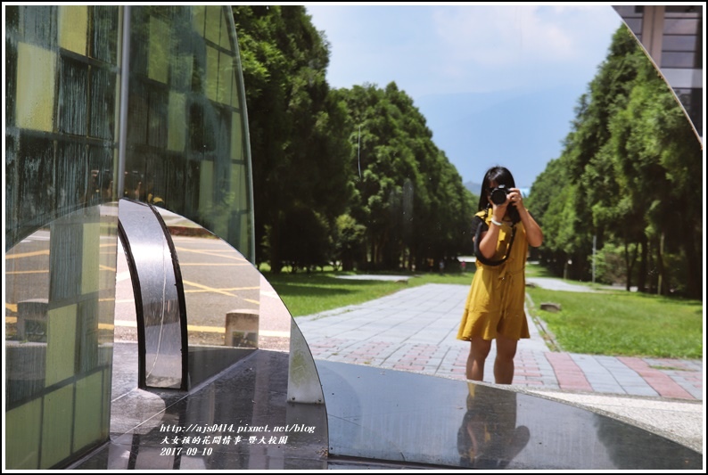 國立暨南國際大學,勤學坡,公共藝術品-生之初,黃花風鈴木,台灣欒樹,大草坪,親子戶外活動,校園,風景,草地,拍照,遛狗