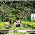 玉山緣櫻花休閒園區-2017-10-14.jpg