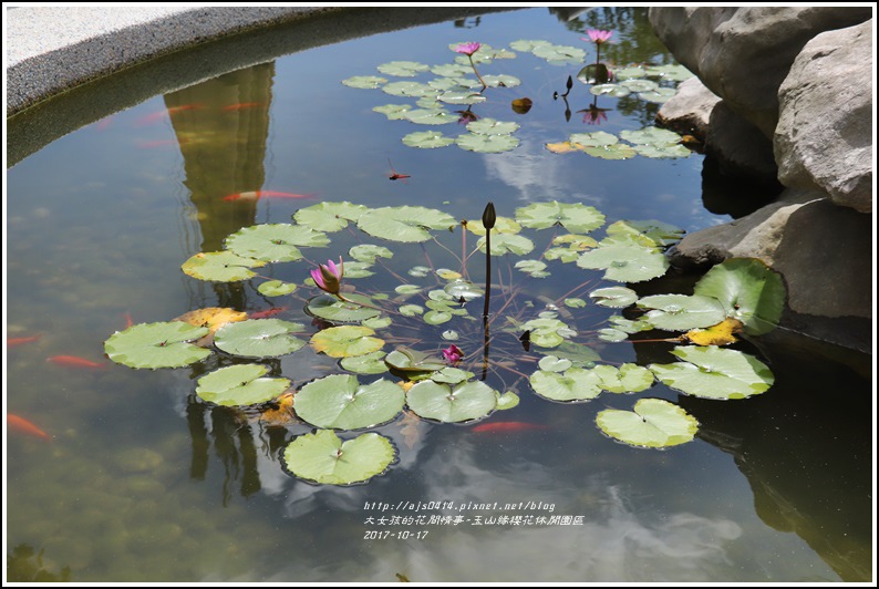 玉山緣櫻花休閒園區-2017-10-18.jpg