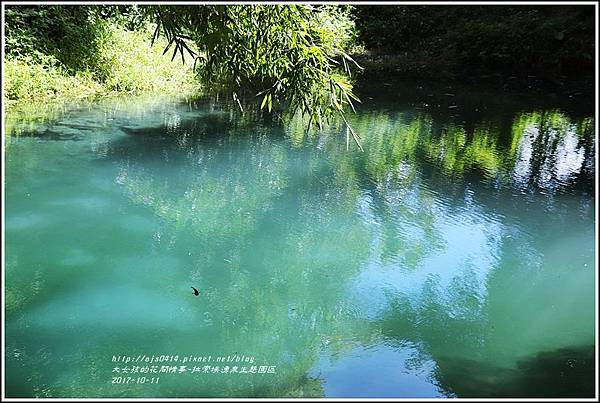 拉索埃湧泉生態園區-2017-10-29.jpg