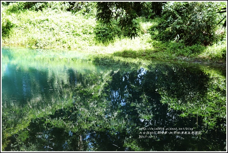 拉索埃湧泉生態園區-2017-10-30.jpg