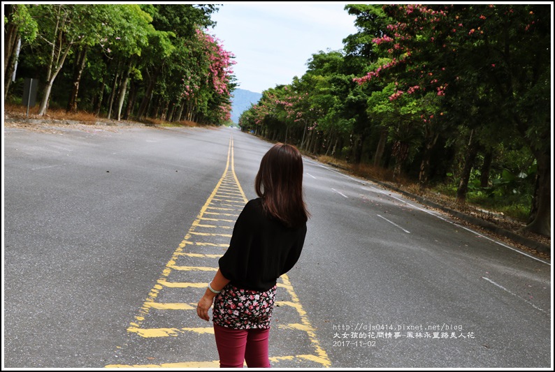 鳳林永豐路美人花-2017-11-12.jpg