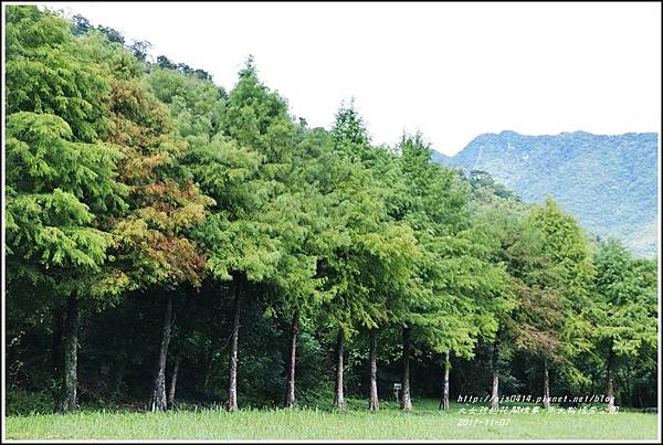 馬太鞍溪橋旁公園-2017-11-14.jpg