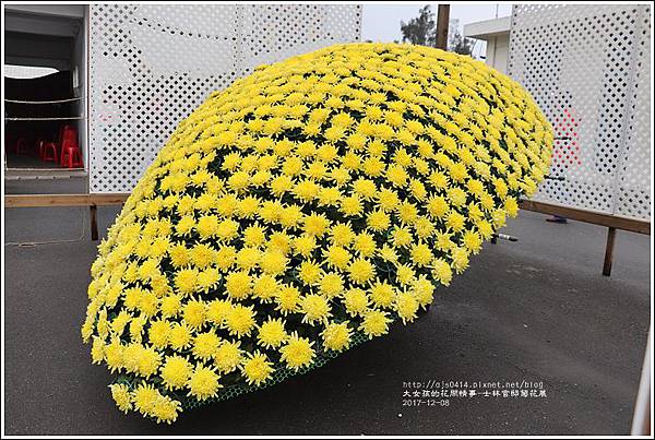 士林官邸菊花展-2017-12-14.jpg