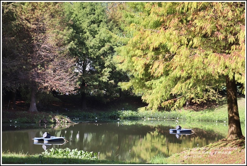 葛莉絲莊園-2017-12-18.jpg