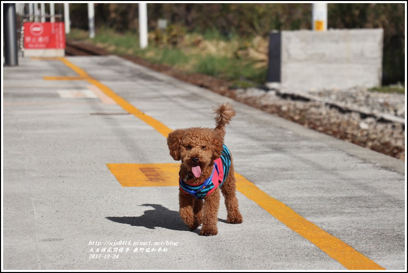 鹿野瑞和車站-2017-12-11.jpg