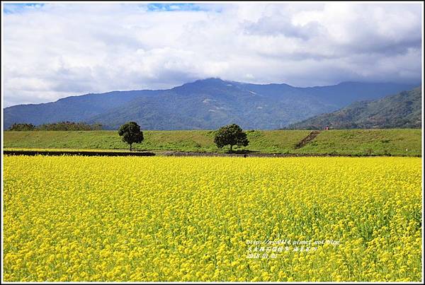 油菜花田-2018-01-10.jpg