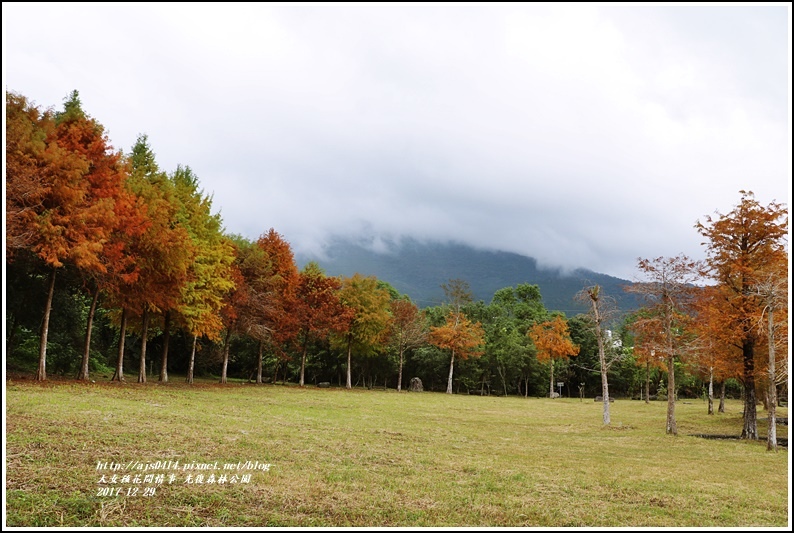 光復森林公園-2017-12-01.jpg