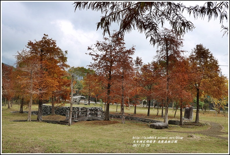 光復森林公園-2017-12-02.jpg 光復森林公園-2017-12-02.jpg