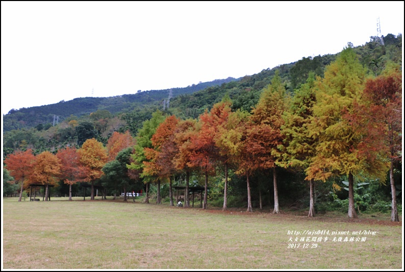 光復森林公園-2017-12-04.jpg 光復森林公園-2017-12-04.jpg