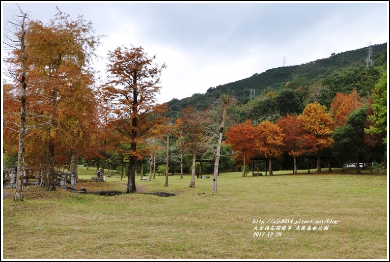 光復森林公園-2017-12-05.jpg