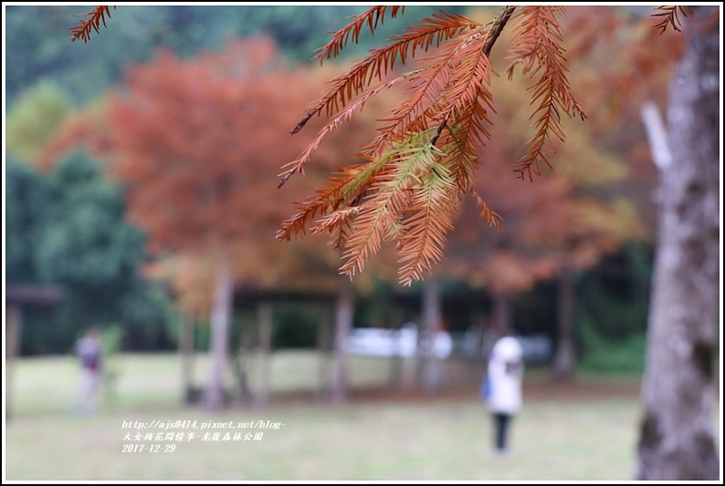 光復森林公園-2017-12-08.jpg 光復森林公園-2017-12-08.jpg