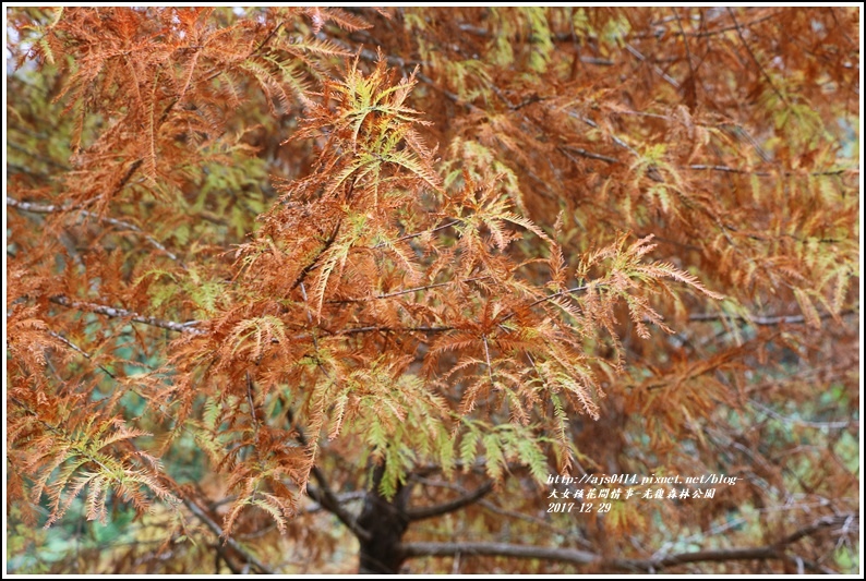 光復森林公園-2017-12-07.jpg 光復森林公園-2017-12-07.jpg