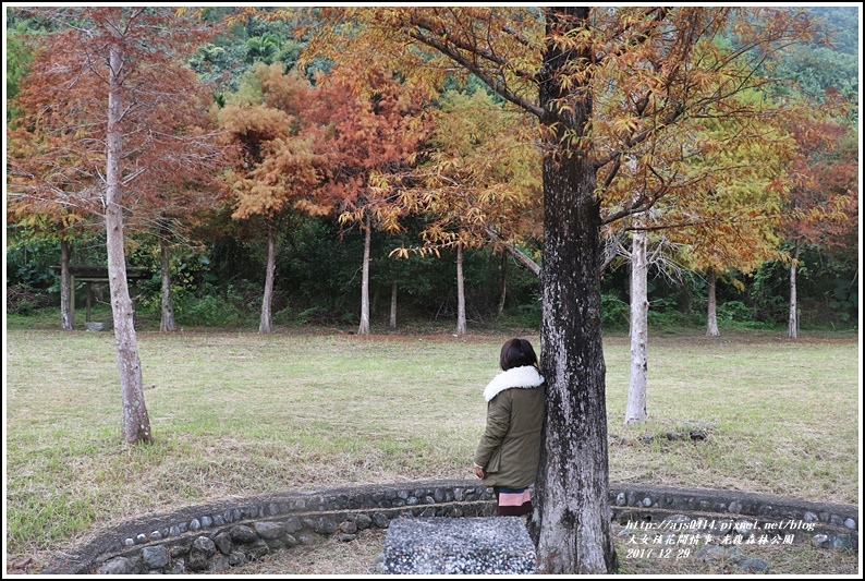 光復森林公園-2017-12-09.jpg 光復森林公園-2017-12-09.jpg