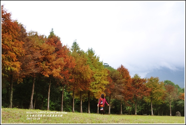 光復森林公園-2017-12-13.jpg 光復森林公園-2017-12-13.jpg
