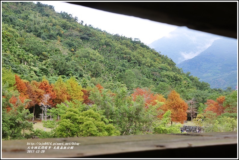 光復森林公園-2017-12-16.jpg 光復森林公園-2017-12-16.jpg