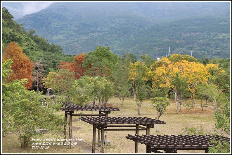 光復森林公園-2017-12-17.jpg 光復森林公園-2017-12-17.jpg