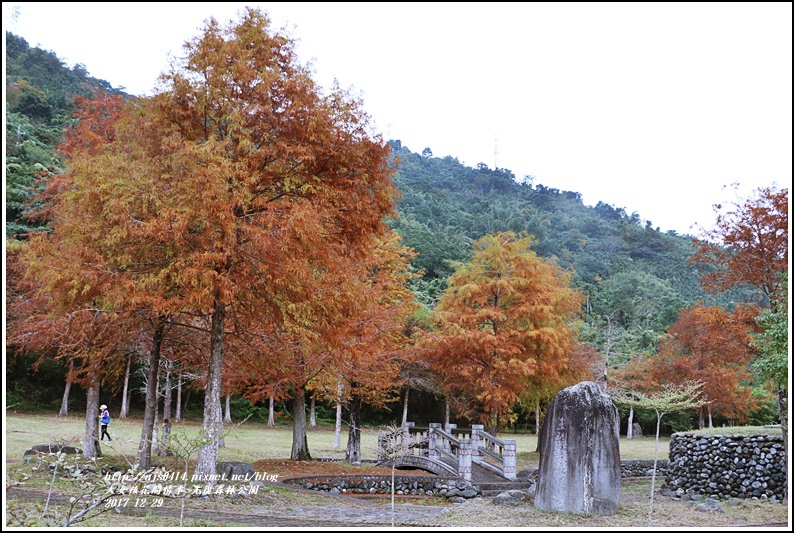 光復森林公園-2017-12-18.jpg