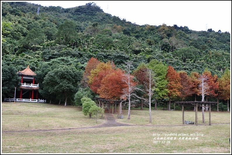 光復森林公園-2017-12-20.jpg 光復森林公園-2017-12-20.jpg