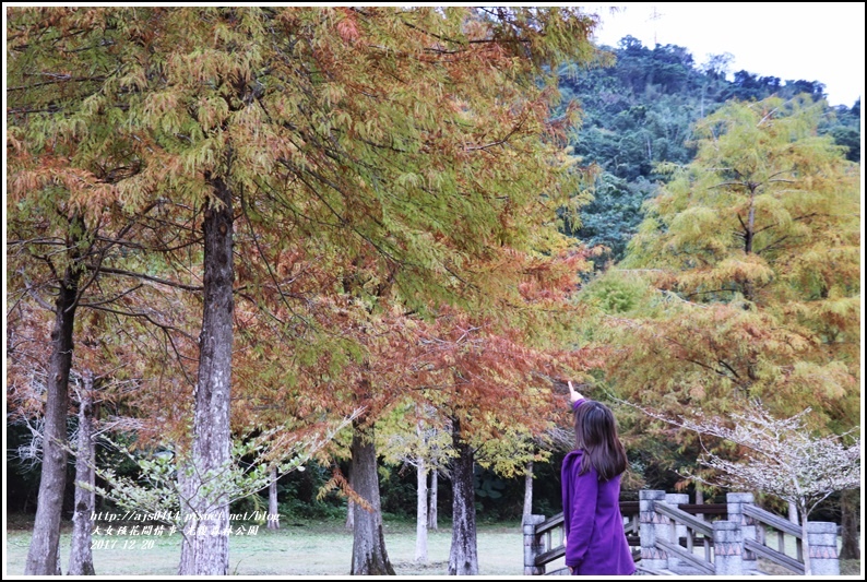 光復森林公園-2017-12-22.jpg 光復森林公園-2017-12-22.jpg