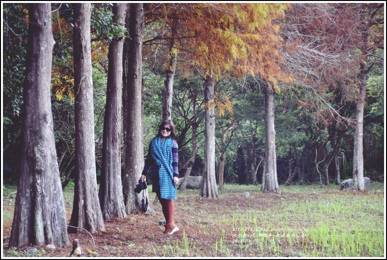 光復森林公園-2018-01-26.jpg 光復森林公園-2018-01-26.jpg