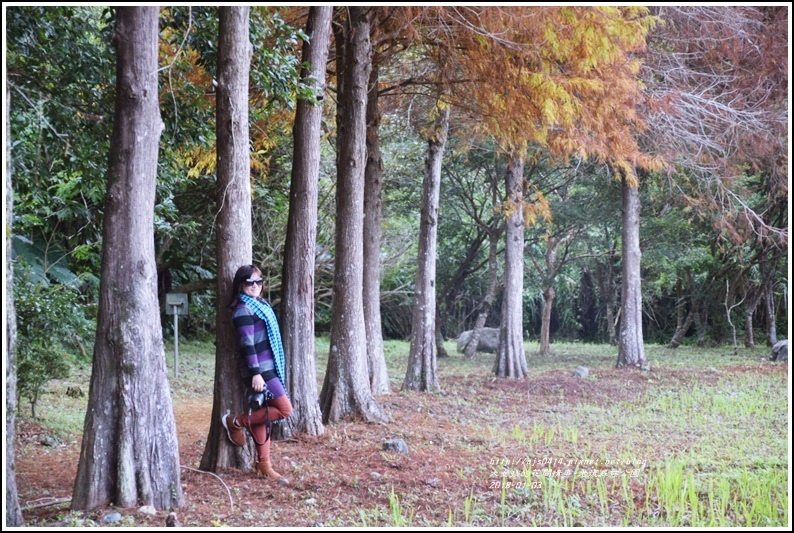 光復森林公園-2018-01-27.jpg 光復森林公園-2018-01-27.jpg